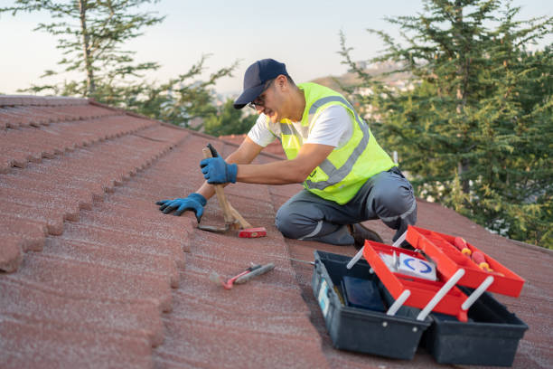 Best Gutter Installation and Roofing  in Cambridge, OH